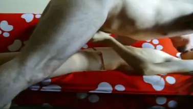 ABG Jakarta Bispak Hotel Bintang Lima Live Skandal Hot